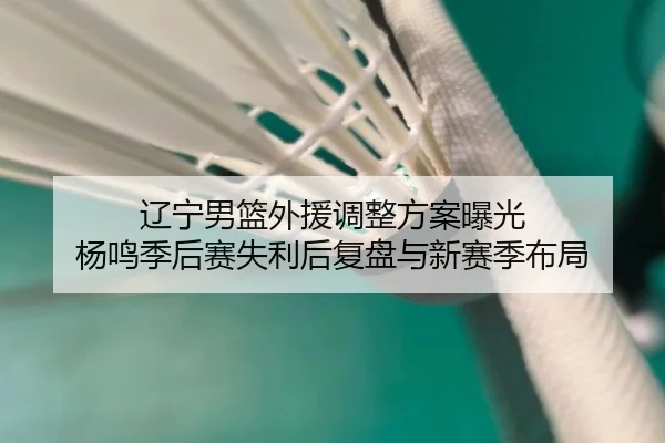 辽宁男篮外援调整方案曝光 杨鸣季后赛失利后复盘与新赛季布局