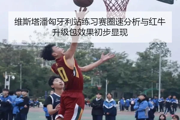 维斯塔潘匈牙利站练习赛圈速分析与红牛升级包效果初步显现